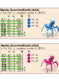 公式pve カマキリ　受精卵