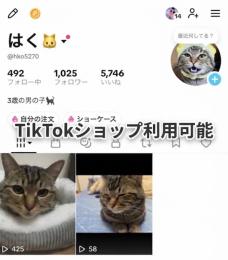 TikTokショップ利用可✨日本人フォロワー1025人 本人確認済 即収益化 安全取引