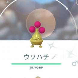 東京産色違いウソハチ アカウント販売