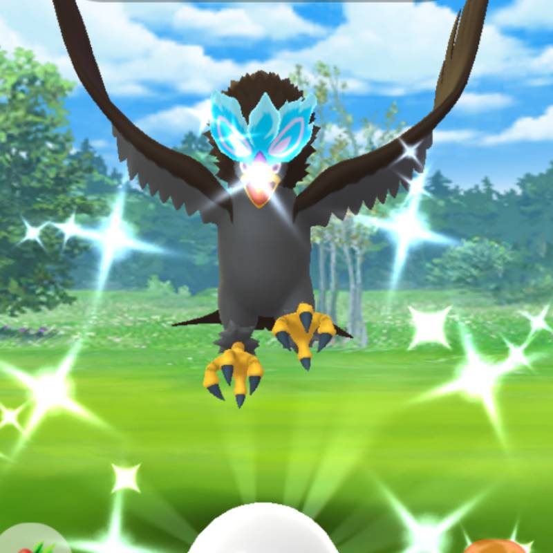 トレード又はアカウント販売 東京産色違いヒスイウォーグル ポケモンgo ゲームクラブ