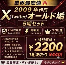 【🔥限定価格🔥】5垢2200円｜2009年作成𝕏高品質オールド垢  2FA設定