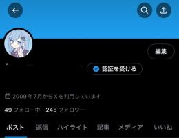 日本人フォロワー240人越えアクティブアカウント