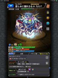 カルナの運極代行（先着がありますので入札は控えて下さい）