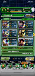 身勝手、キラベジ、ゴクフリ等所持、かめはめ波パーティ、第七宇宙代表パ