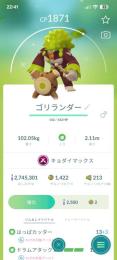 色違い