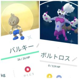 色違いバルキー東京産ボルトロス(れいじゅう) 通常マネネ アカウント販売