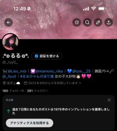 X015｜自撮り系X垢｜7日間1979インプ｜フォロワー281人｜シャドウバン確認済み