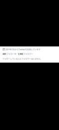 Twitterフォロワー多数垢(気取り垢)1100人程
