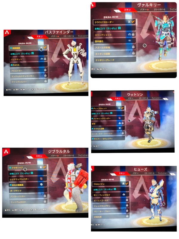 出品画像