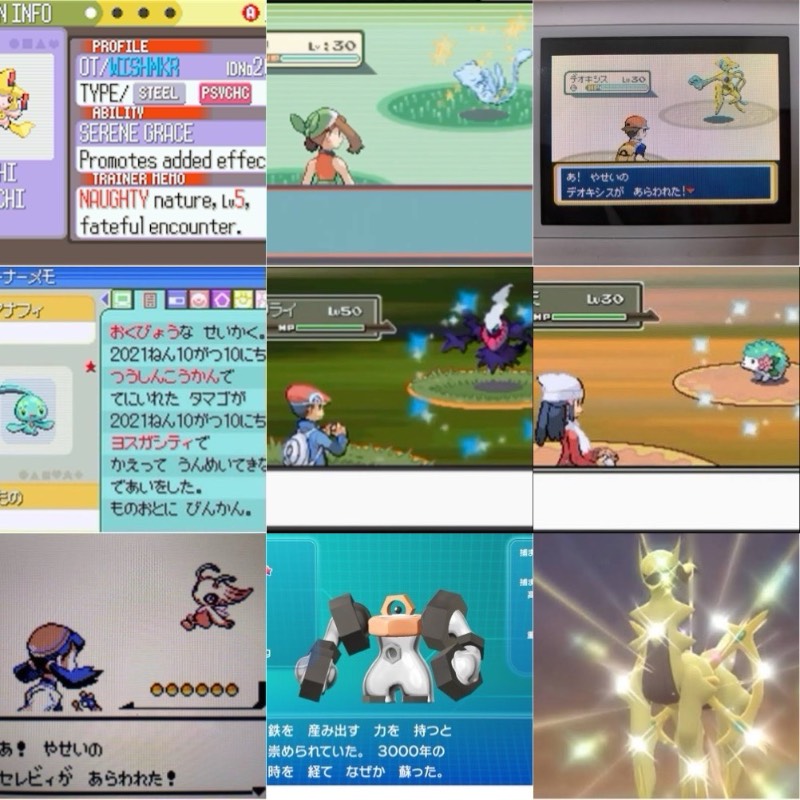 ZA対応！正規保証 乱数調整 個体調達代行 色伝説幻全て承れます リボン