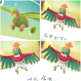 色違いトロピウス♀ 通常ルチャブル♂♀マラカッチ♂♀マスキッパ♂♀アカウント販売