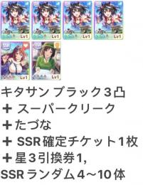 キタサン3凸 +たづな+スーパー+SSRランダム4～10体+SSR確定チケット1枚 即時対応