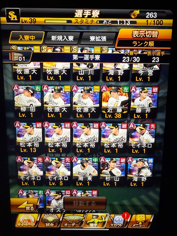 出品画像