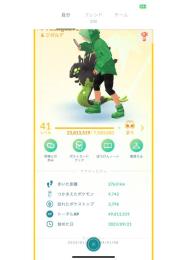 TL43✨PTC✨伝説262個✨色違い97個✨伝説個体値100％12個✨個体値100％:142個