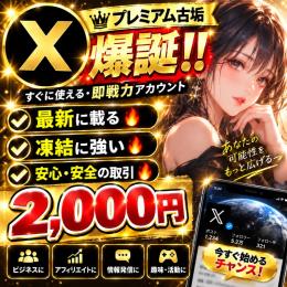 【高品質　検索に表示！】🌟X(Twitter)OLDアカウント🔥2009～2024年作成製🌟