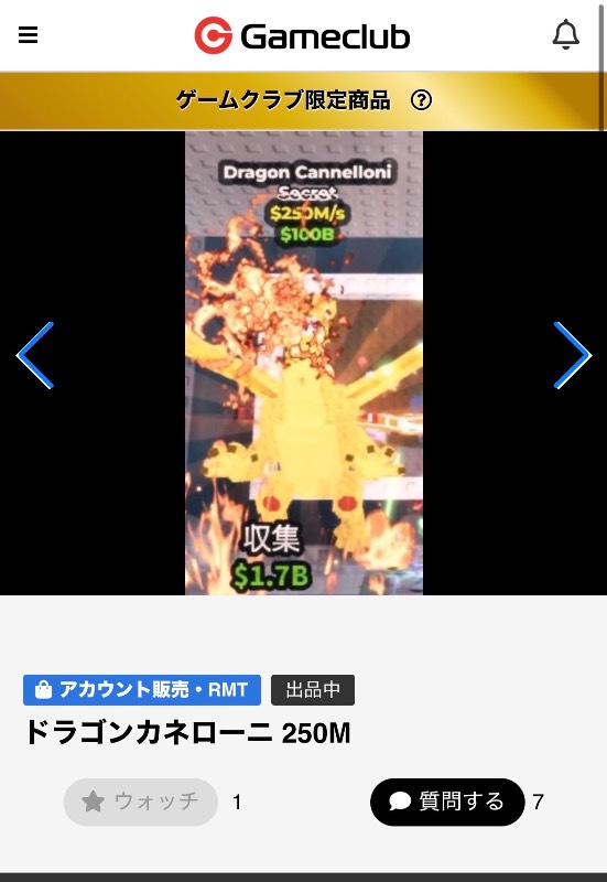 出品画像
