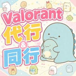 【総合実績500件以上】即対応可能！Valorant代行＆同行