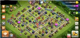 🌟未連携🌟TH14🌟43.80.55.30.BM7🌟ペット2.1.2.2