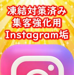 集客特化型垢！凍結に強いインスタOLD垢×1個