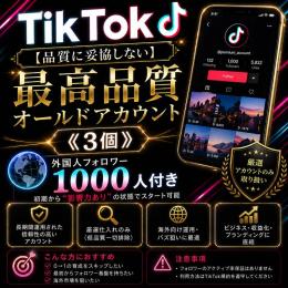 最高品質オールドアカウント《3個》【品質に妥協しない】外国人フォロワー1000人付き