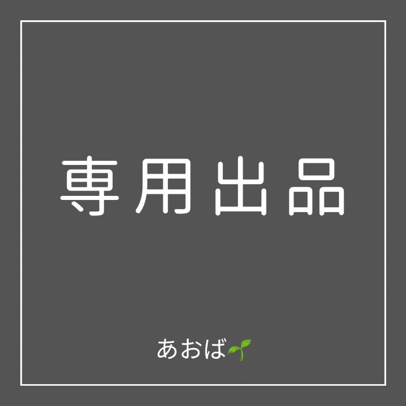 出品画像