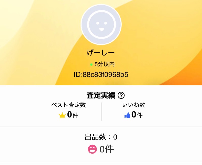 出品画像