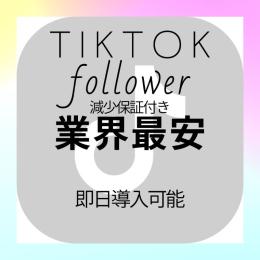 TikTokフォロワー増加代行 1000人～ 減少保証有