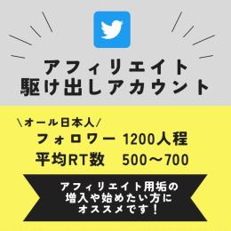 限定価格中！【オール日本人で高品質！5日で3万売り上げた🔥アフィリエイト駆け出しアカウント】