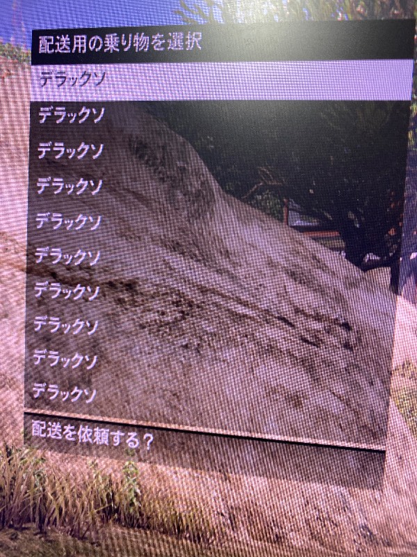 出品画像