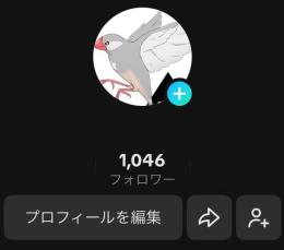 🔗URL追加&LIVE配信可能✨️ 日本産手動育成垢 フォロワー1000↑