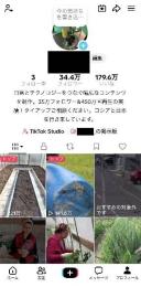 【フォロワー34万人】海外リーチ可能なTikTokアカウント（昨年140万円の収益）