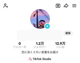  【希少・収益化済み】恋愛系TikTok フォロワー1.2万人/総再生230万回/属人性なし