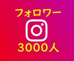 インスタ フォロワー【多国籍】3000人増加『いいね付』保証有 ☆★小幅減少★