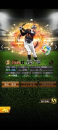 2009WBCセレイチロー所持S16枚垢