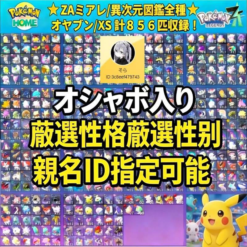 出品画像