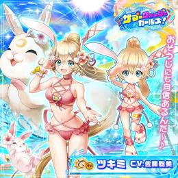 ツキミ確定所持 ジュエル71000↑ 水着 SWG 9周年 ニエル ルナ オスクロル 最強 1