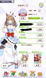 引退します！値引き交渉で大幅割引あり！どんどん質問してください!!