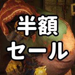 【1名様限定】PS4,5 武器・防具・パワーアーマー半額セール【2万円→1万円】