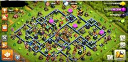 🔴大人気🔴🌟未連携🌟4Skin🌟TH14🌟80.80.55.30.BM30🌟ペット5.4.4.5