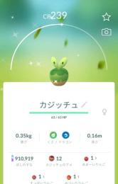 もんのびさま専用