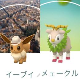 【Pokémon GO City Safari バルセロナ】サファリ帽イーブイ、メェークル４２体