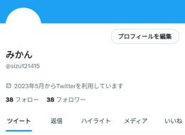 Twitterアカウント【フォロワー38人・制限歴無し】