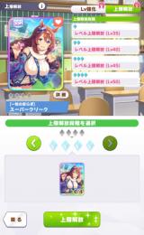 スーパークリーク完凸　たづな　キタサン　テイオー　グラス