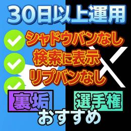 10個セット 30日以上運用X（Twitter）アカウント【シャドウバン、リプバンなし】検索表示可