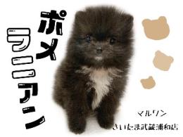 プロフ画像