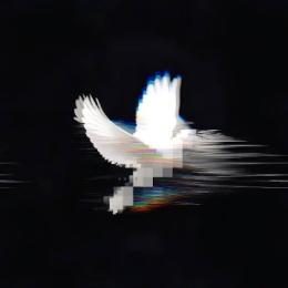 プロフ画像