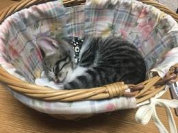 プロフ画像