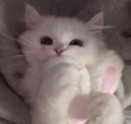 プロフ画像
