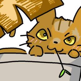 プロフ画像