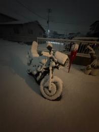 プロフ画像